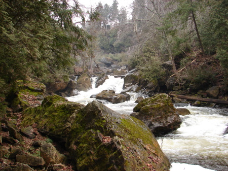 Inglis Falls 2006