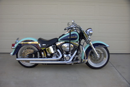 My other baby !  Who would have ever thought I'd ride my own Harley !!!