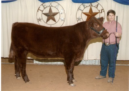County Stock Show 2007