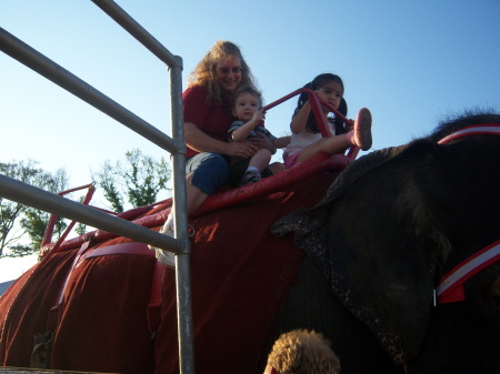 MY FIRST ELEPHANT RIDE