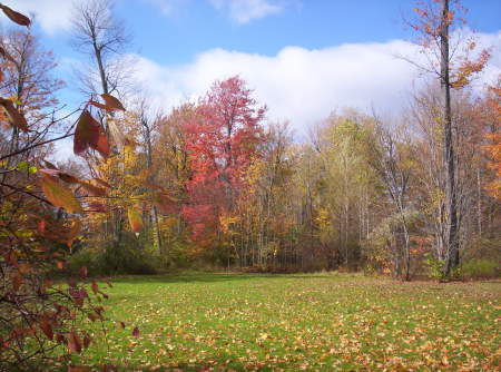 Autumn in Churchville Park- Oct 2006