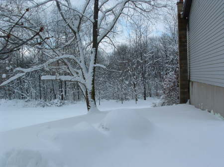 2008 snow