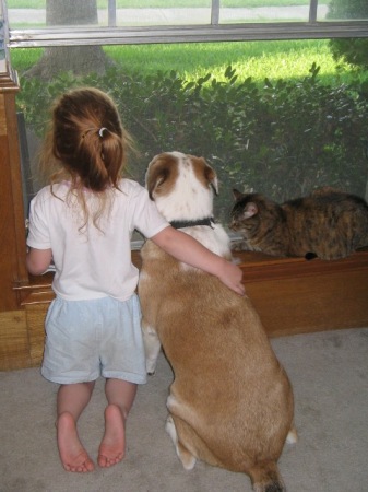 Sammy and Happy our pound puppy. Oh to be 5 again!!