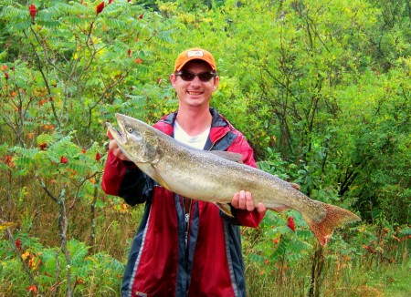 34" Chinook Salmon