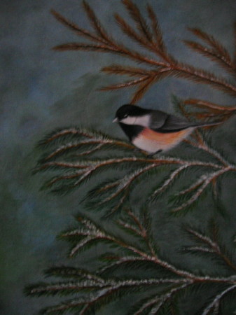 chickadee