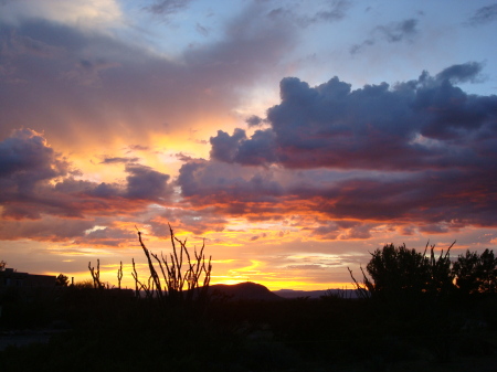 New Mexico Sunsets