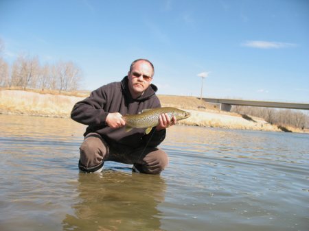 April 12 2008 Bow River Brown