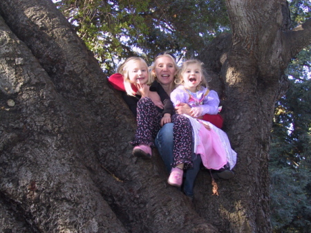 Ladies in a tree