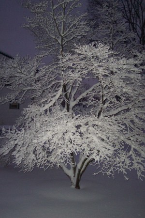 Winter 2010