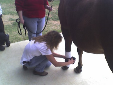 Equine classes at A%T