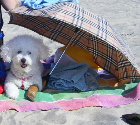 "I love the beach too!!