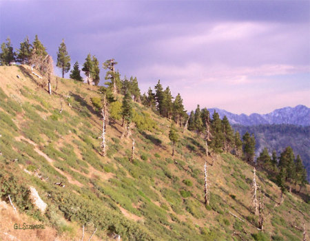 Storm over the PCT