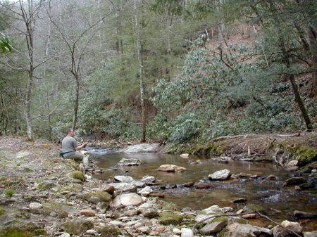 Happiness is Finding Wild Brook Trout