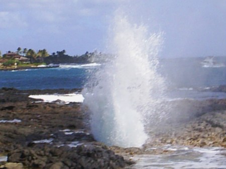 SPOUTING HORN