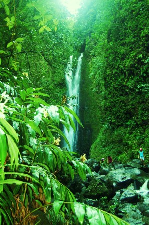 Road To Hana