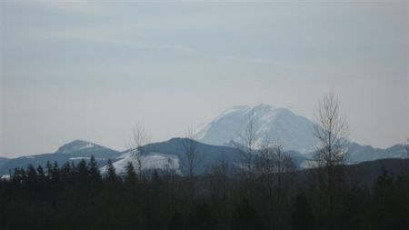 Mount Rainer