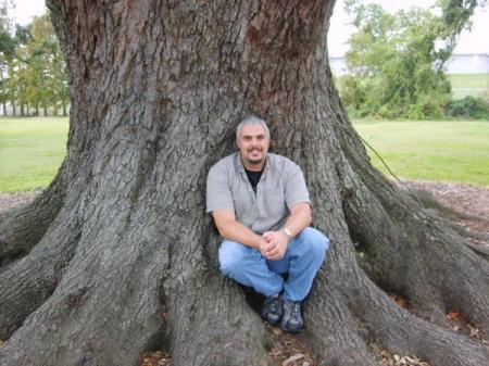 brad_live oak