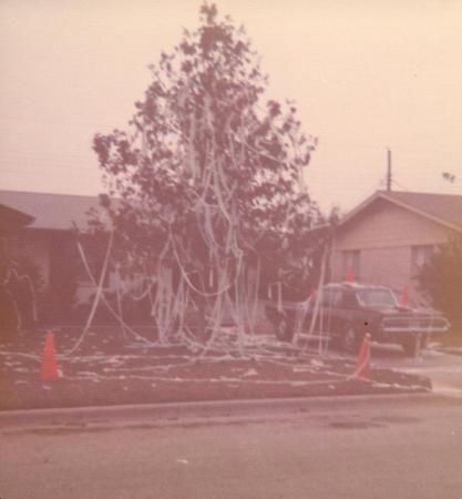 papered house in high school 1973