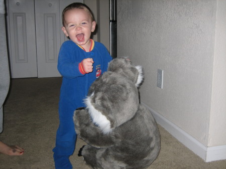 Caleb with his koala