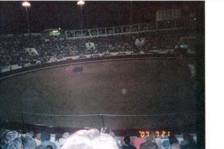 Bullfight Angra