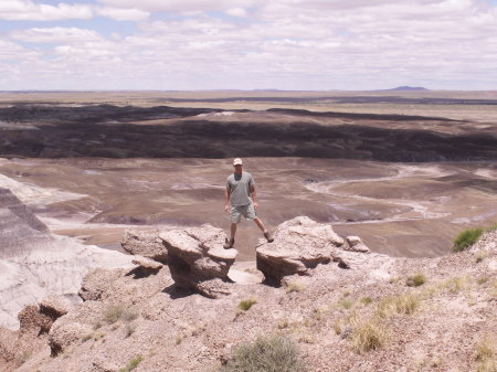 The Badlands, Arizona-summer 2007