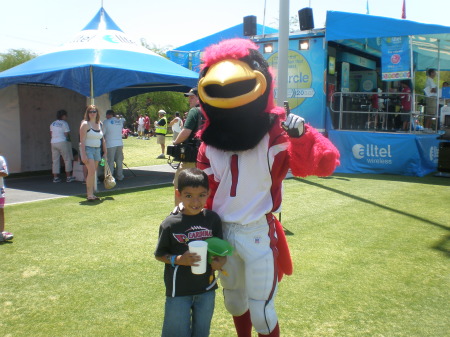 Az Cardinals Fanfest 08