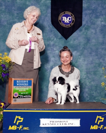 Anita M. Lopker, M.D.'s album, Dr. Lopker &amp; Japanese Chin Show Dogs 2011