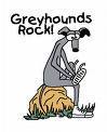 greyhoundonrock