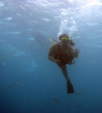 diving aruba pics 2008 021