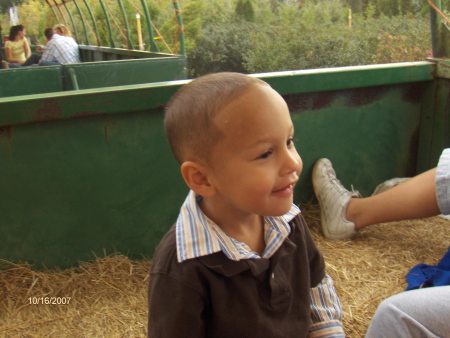 melo (my heart) pumpkin picking