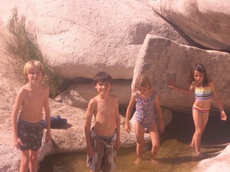 2004 - Joshua Tree