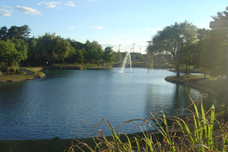 Our community pond