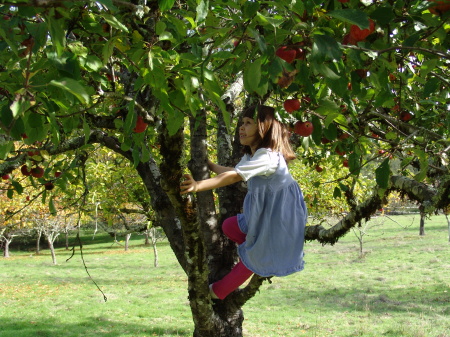 Lauren in our orchard :-)