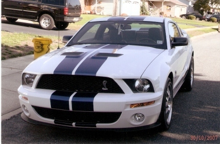 2007 shelby cobra gt500