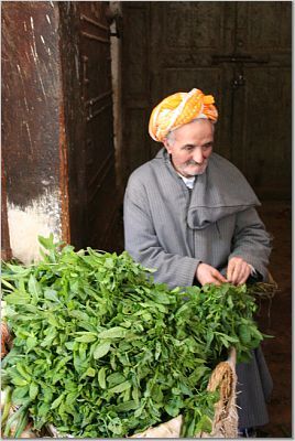 Mint Seller in Fez