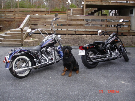 '08 Crossbones pic 3