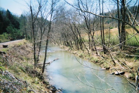 peters creek