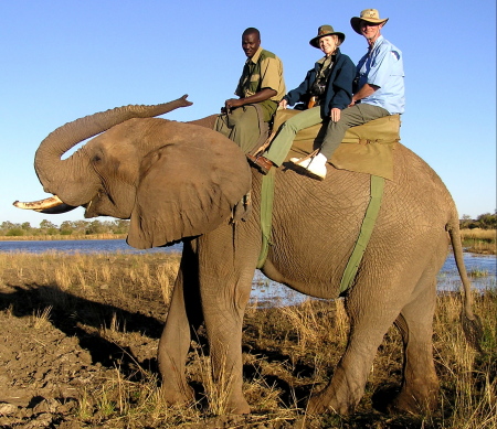 Texas salutes Africa