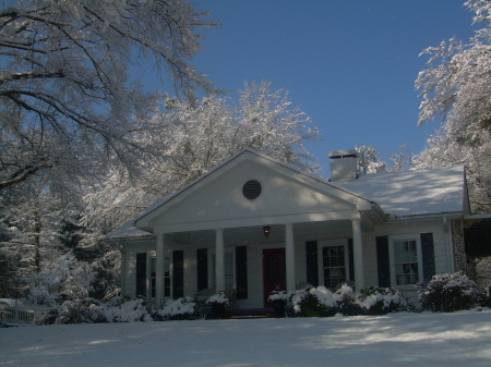 After the snowstorm, Feb 2010