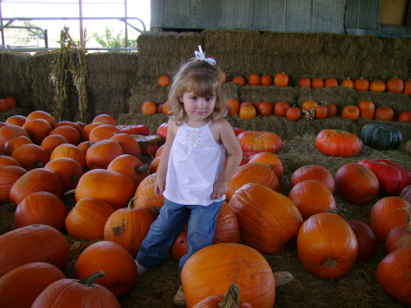 Pumpkin Patch 2007