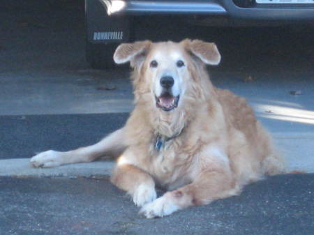 My Sunny  RIP 3-10-07