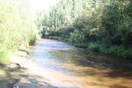 Bonanza Creek The Gold Rush started here!