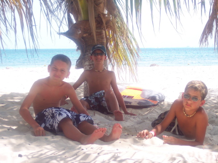 Lounging under the palm trees