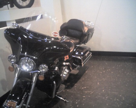 The dog can't drive this HOG!