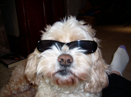 Snoopy thinks he's Joe Cool... WHATEVER!!!