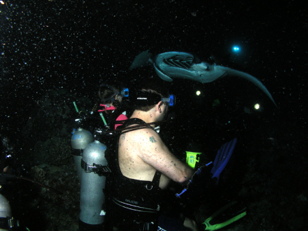 Jeff and Me Scuba Diving - Manta Rays