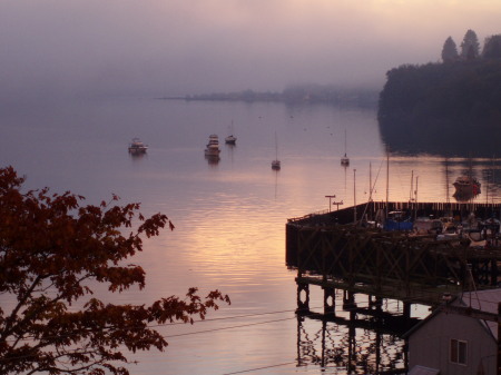 Early Morning Langley Marina