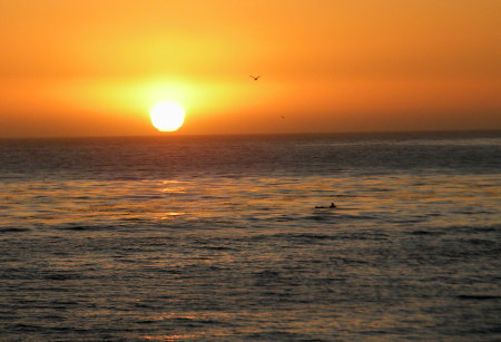 Sunset in Santa Cruz
