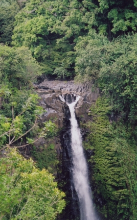 waimoku falls infinity pool (2)