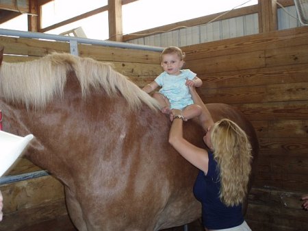 Thats a big horse!